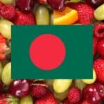 learning vocabulary games for fruits in Bengali