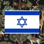 learning vocabulary games for animals in Hebrew