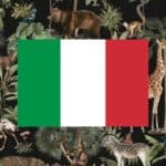 learning vocabulary games for animals in Italian