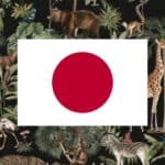 learning vocabulary games for animals in Japanese