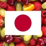 learning vocabulary games for fruits in Japanese