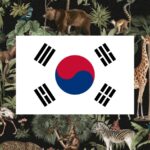 learning vocabulary games for animals in Korean