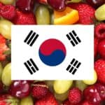 learning vocabulary games for fruits in Korean