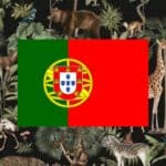 learning vocabulary games for animals in Portuguese