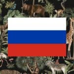 learning vocabulary games for animals in Russian