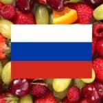 learning vocabulary games for fruits in Russian