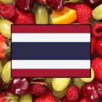 learning vocabulary games for fruits in Thai