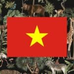 learning vocabulary games for animals in Vietnamese