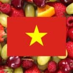 learning vocabulary games for fruits in Vietnamese