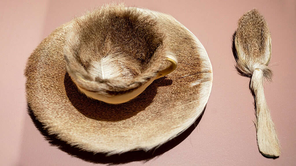Meret Oppenheim - Object