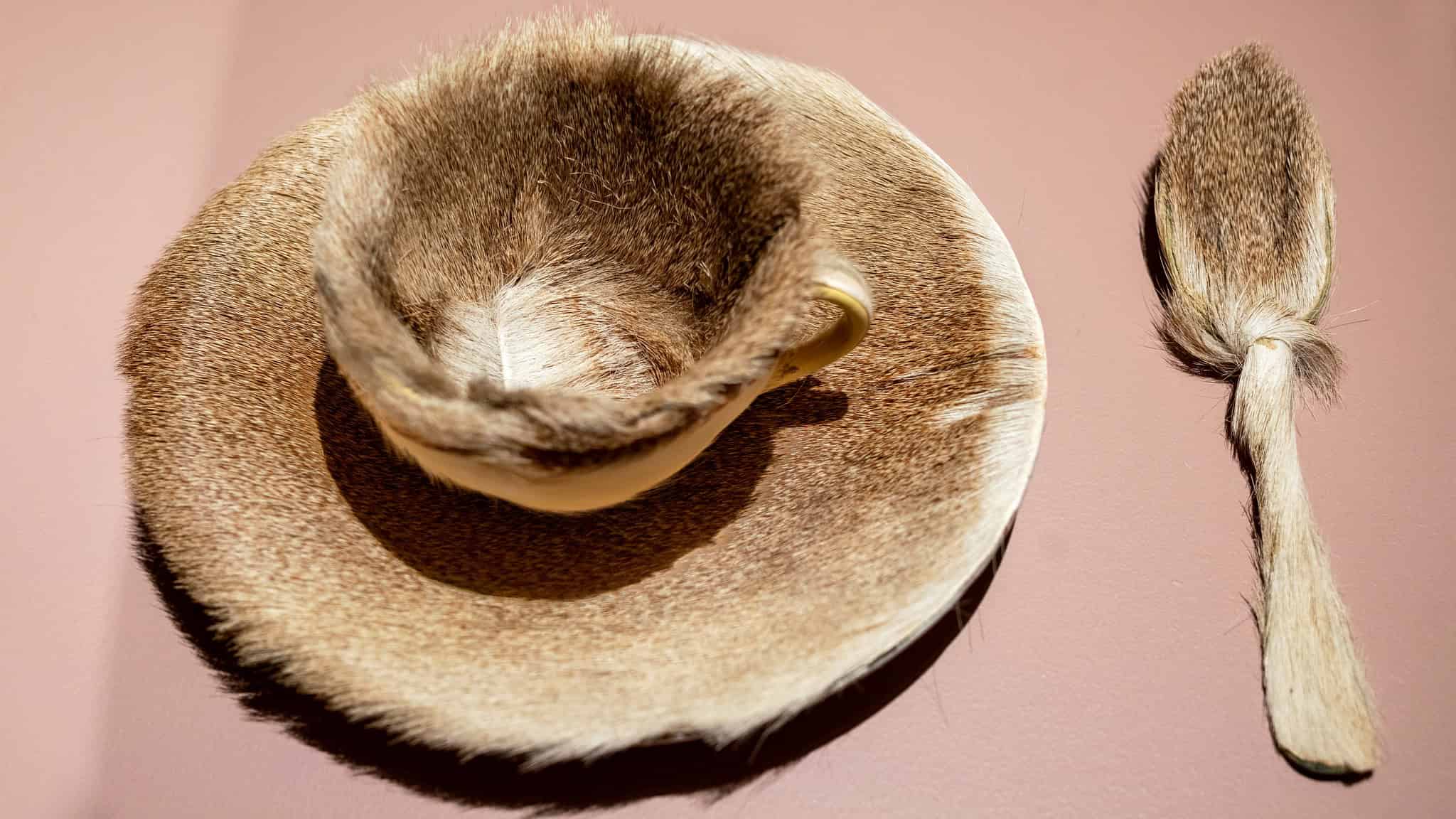 Meret Oppenheim - Object